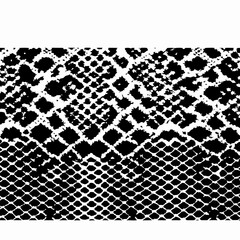 snake texture vector illustration design 