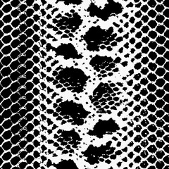 snake texture vector illustration design 