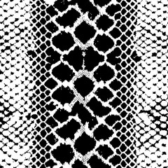 snake texture vector illustration design 