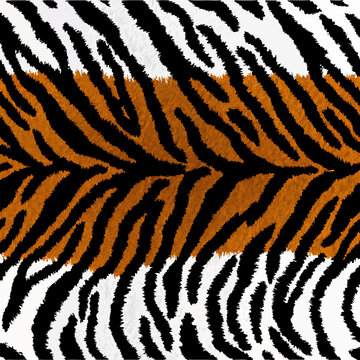 tiger fur texture vector design illustration 
