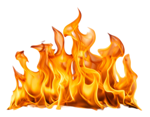 Fiery orange flames burning bright isolated on white