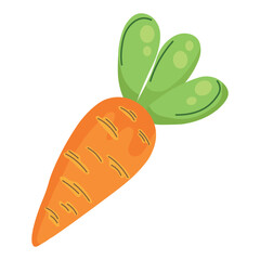 carrot 