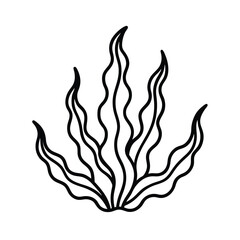 3D Seaweed Washed Ashore