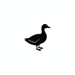Silhouette of a duckon white background. M inimalist animal illustration.