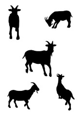 Goat silhouettes