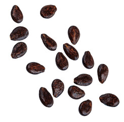 Flying Watermelon seeds isolated on white. Collection of  falling  Watermelon fruit seeds. Set.  Pattern. Package design element..