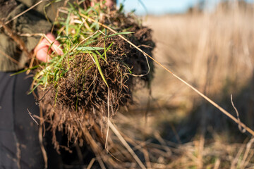 Hands Gently Holding Rich, Fertile Soil with Roots and Grass. Symbolizing Sustainable Farming, Agriculture, Earth Care, and the Importance of Healthy Ground for Future Growth
