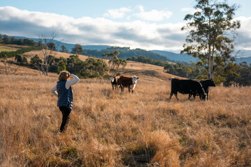 Female Farmer Inspecting Healthy Soil and Roots in an Australian Pasture. Showcasing Regenerative Agriculture Practices for Sustainable Cattle Farming and Land Management