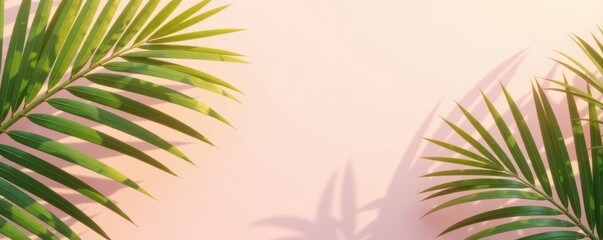 Pastel sun-drenched palm leaves, minimal summer background, hot, vacation, shadow