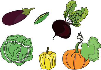 Set of vegetables colorful. Vector illustration