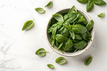 Fresh green basil leaves in a rustic bowl on a white textured surface
