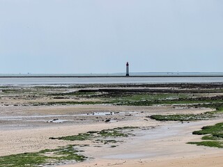 Pêche à pied au phare de Chauveau
