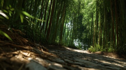 Pathway Through Bamboo Forest With Sunlit Clearing, Evoking Serenity and Peaceful Escape for Wellness Retreats : Generative AI