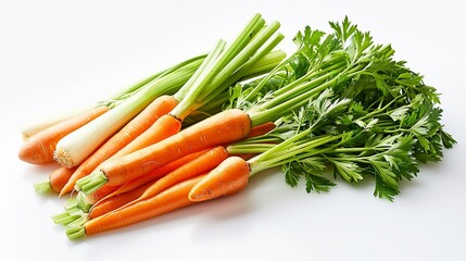 Fresh carrots and celery with parsley.  Bunches of fresh, vibrant orange carrots and pale green celery stalks are nestled amongst fresh, bright green parsley