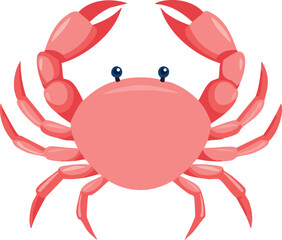 crab on white background