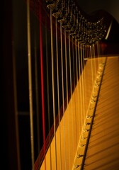 An intimate portrait of a harp, highlighting the beauty of its strings and wooden craftsmanship.