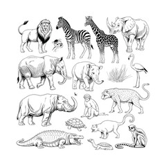 Wild Animal Sketch Set – Hand Drawn Safari and Jungle Wildlife Vector Illustration