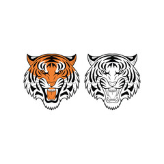 Tiger Head Vector Illustration – Color and Black & White Version