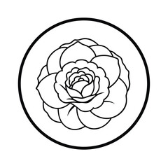 Peony Blossom Tea Packaging in Pastel Watercolor