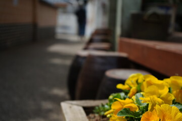 Hwaseong Fortress, South Korea