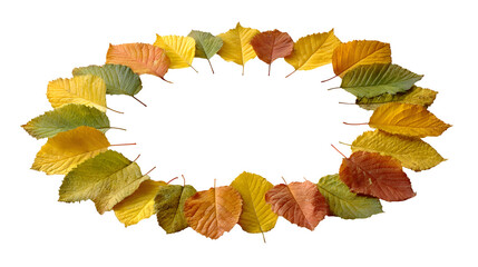 realistic autumn leaves arranged in a circular pattern like a wreath, isolated on white background