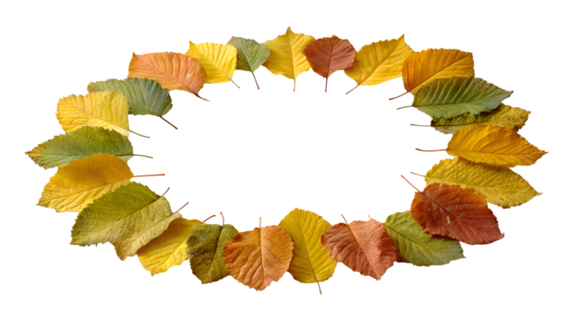 realistic autumn leaves arranged in a circular pattern like a wreath, isolated on white background