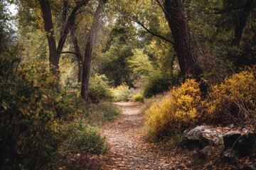 Obraz premium Leaf-Strewn Path Through Autumnal Forest, Evoking Exploration and Nature's Tranquility for Outdoor Adventure and Peaceful Retreats : Generative AI