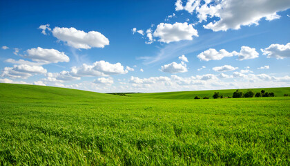 Naklejka premium Serene Green Field Landscape Under a Vivid Blue Sky with Fluffy Clouds