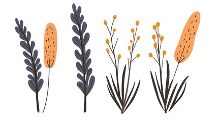 Autumn floral design elements; plants, nature, illustration, background, design
