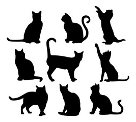 vector collection of cat silhouette illustration