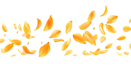 Falling Pumpkin Seed on White Background Clipping Path