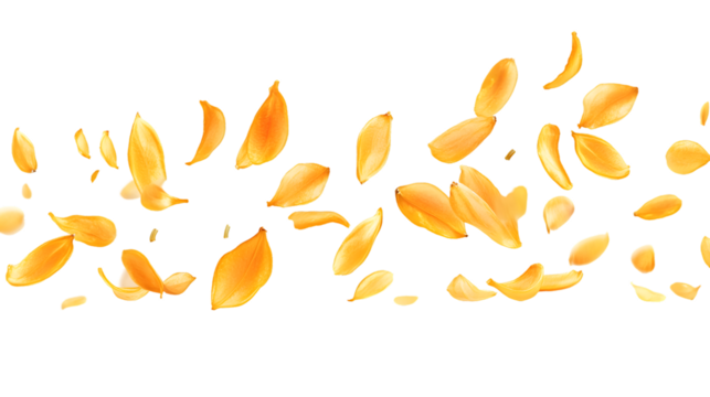 Falling Pumpkin Seed on White Background Clipping Path