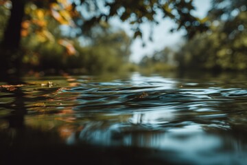 Fototapeta premium Calm Water Surface Reflecting Trees in a Forest, Evoking Tranquility and Natural Beauty for Travel and Ecotourism : Generative AI