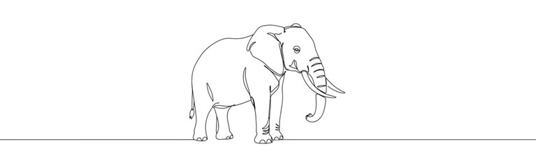 Elephant continuous one line drawing. Hand drawn animal.