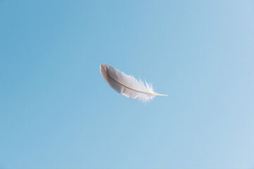 Feather in Mid-Air with Calm Blue Tone