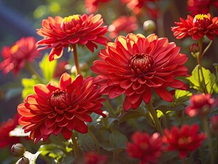 Sunny Floral Landscape: A Summer Garden Retreat