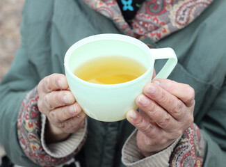 Woman holding mug of tea in hands at picnic