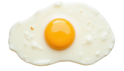 Simple still life, an egg on a dark, contrasting surface egg