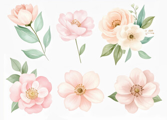 Fototapeta premium Delicate floral arrangement featuring various pastel blossoms and leaves in soft tones. Watercolor flowers clipart on white background.