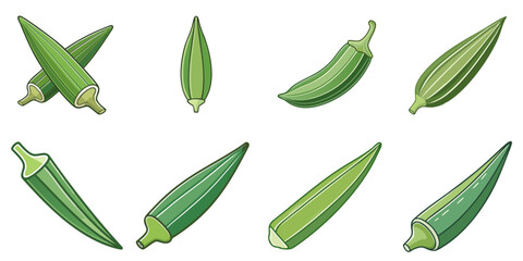 Vector illustration of multiple okras, outline