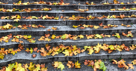 Panoramic view of stone steps covered with autumn leaves in vibrant colors