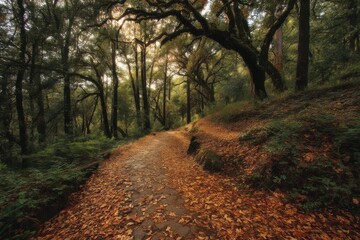 Fototapeta premium Leaf-Covered Path Through Forest at Golden Hour, Ideal for Autumn Travel and Nature Getaways, Inspiring Serenity and Exploration : Generative AI