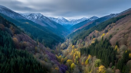 Obraz premium Serene Aerial View of Lush Valley Surrounded by Majestic Mountains