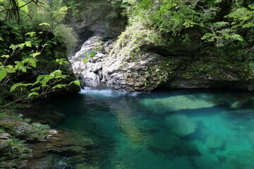 瀬戸川渓谷の八升渕　初夏　（高知県　土佐町）