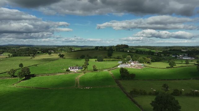 Old Donagh Graveyard, County Monaghan, Ireland, September 2022. Drone panoramic aerial ascend high above sweeping pasture fields with flock of sheep running below as cloud shadows recede on landscape.
