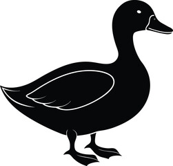 Duck Silhouette Vector Illustration In White Background