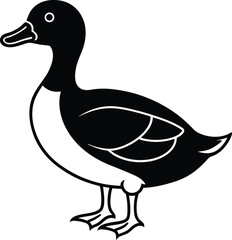 vector illustration of a duck
