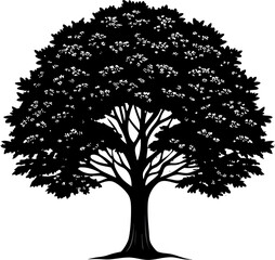 elm tree black silhouette vector icon on white or transparent background