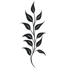 Elegant black twig with leaves, isolated, white background, design element