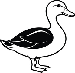vector illustration of a duck